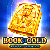 Book of Gold: Symbol Choice